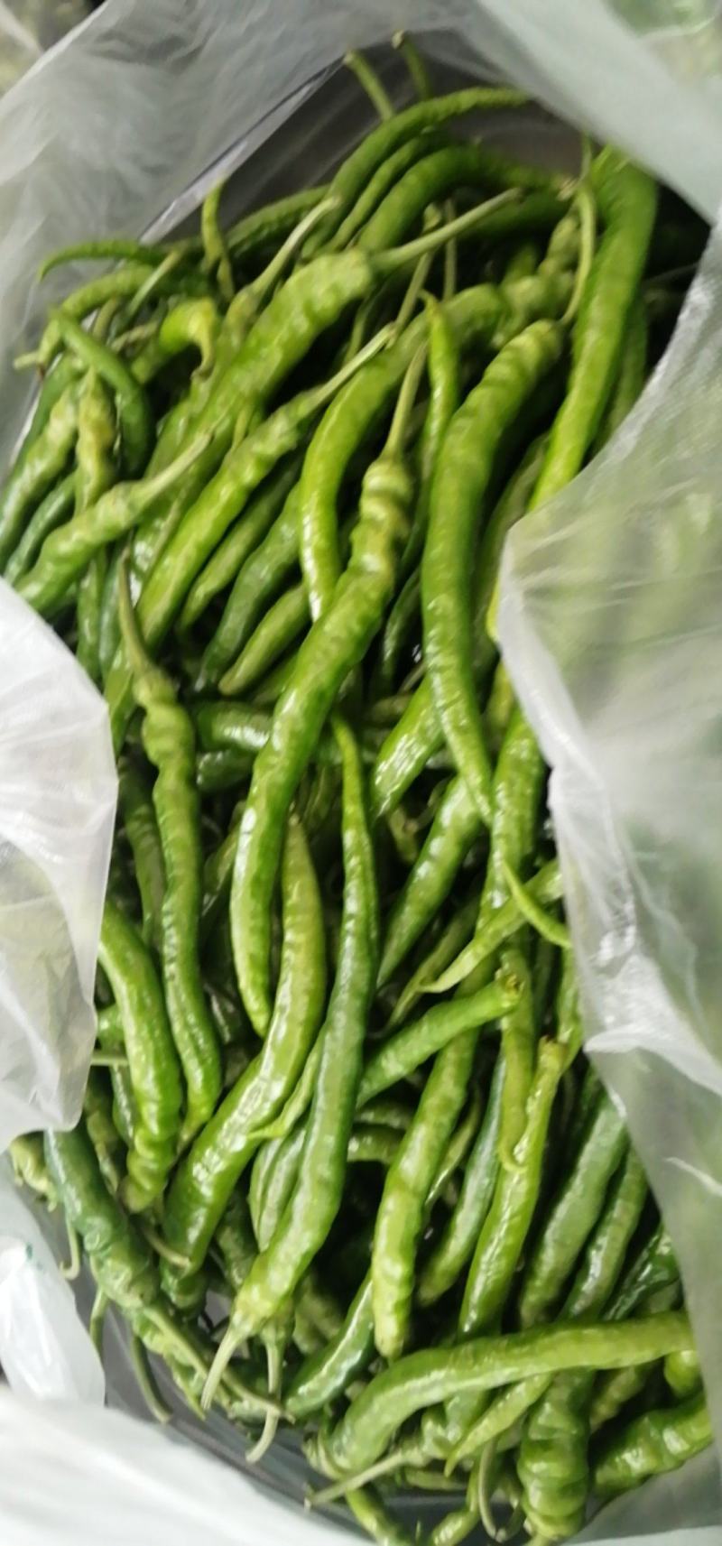 时鲜蔬菜