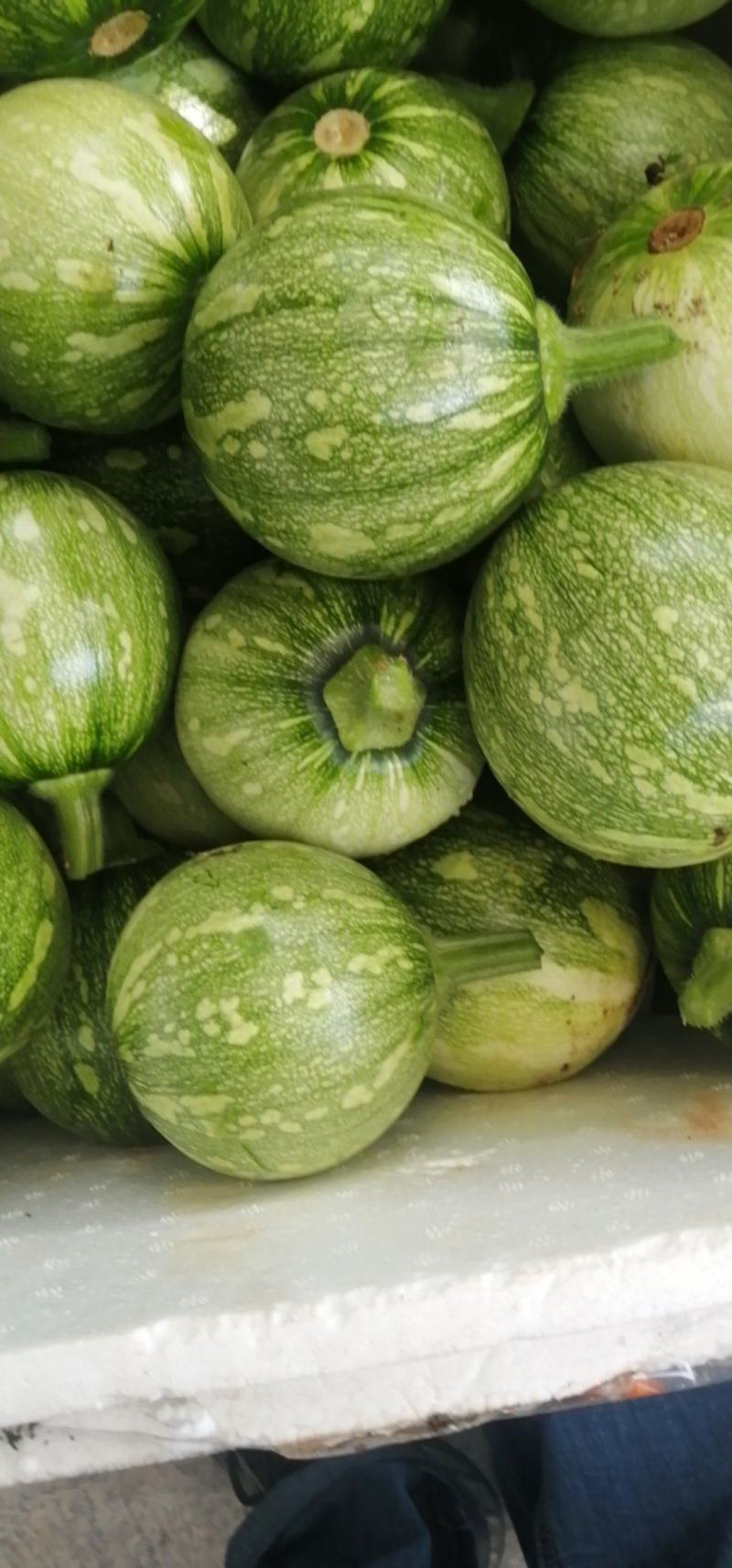 时鲜蔬菜