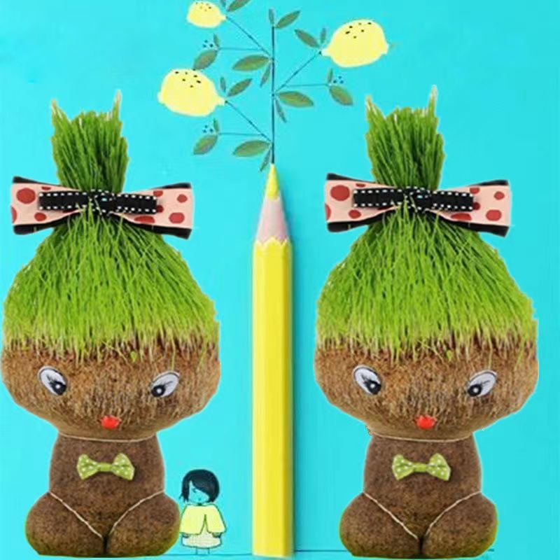草头植物盆栽长草娃娃室内桌面创意迷你水培绿植儿童幼儿园小