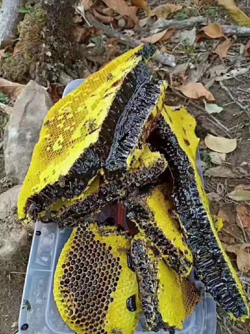 缅甸优质蜂巢黑蜜，可视频看货，产地现发，支持线上保障交易