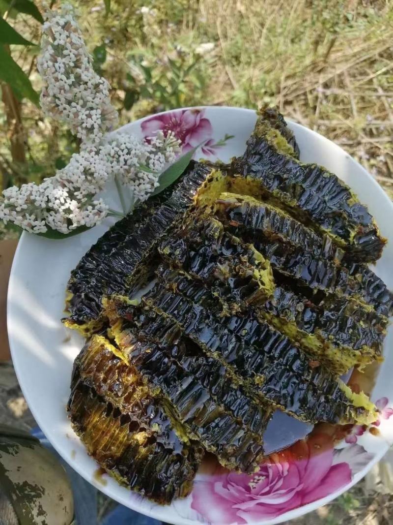 缅甸优质蜂巢黑蜜，可视频看货，产地现发，支持线上保障交易