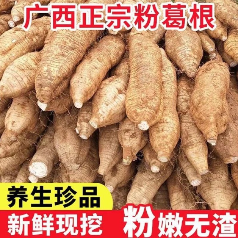 【热销】粉葛人工种植，其特点个大皮薄粉多质嫩无渣味甘