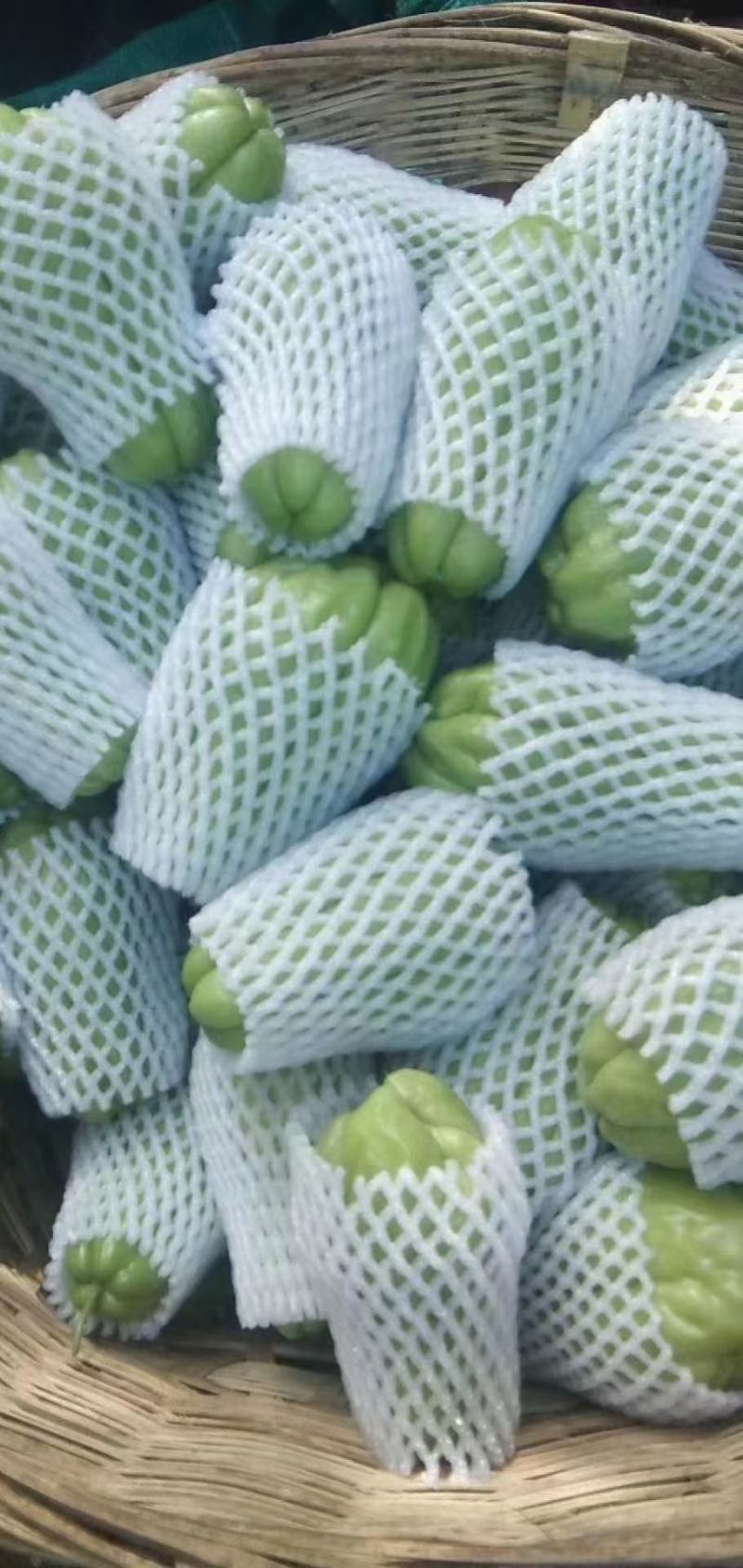 精品佛手瓜，上市了！！