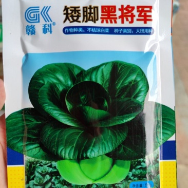 矮脚黑将军苏州青青梗菜种子，50克，梗绿叶黑