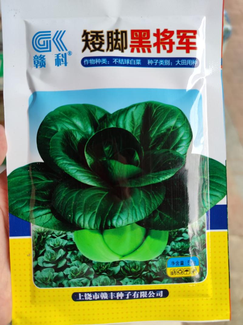 矮脚黑将军苏州青青梗菜种子，50克，梗绿叶黑