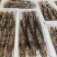 活冻黑虎虾高品质国产本地草虾超大九节虾老虎虾竹节虾