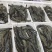 活冻黑虎虾高品质国产本地草虾超大九节虾老虎虾竹节虾