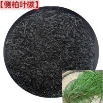 侧柏叶炭中草药炭类侧柏炭侧柏叶碳500克中药材