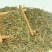 野生侧柏叶天然生发扁柏叶增发水新鲜晒干伯叶泡酒洗发防脱发