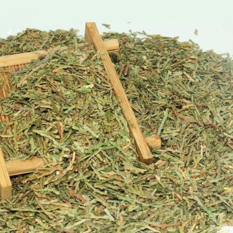 野生侧柏叶天然生发扁柏叶增发水新鲜晒干伯叶泡酒洗发防脱发