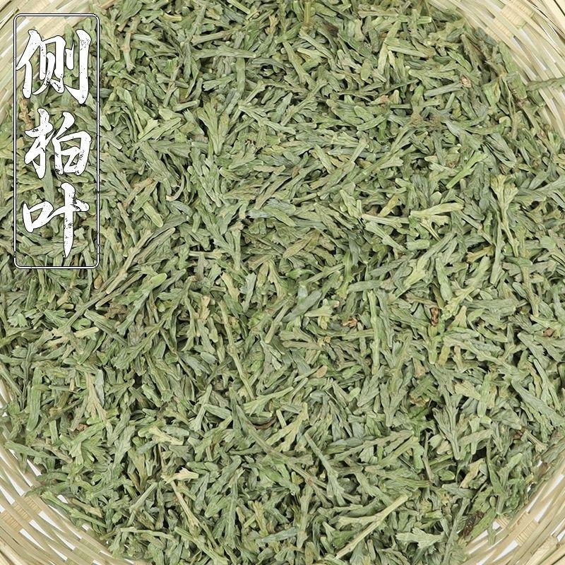 野生侧柏叶天然生发扁柏叶增发水新鲜晒干伯叶泡酒洗发防脱发