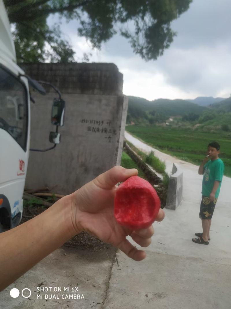 血桃桃子不离核湖北黄冈大别山