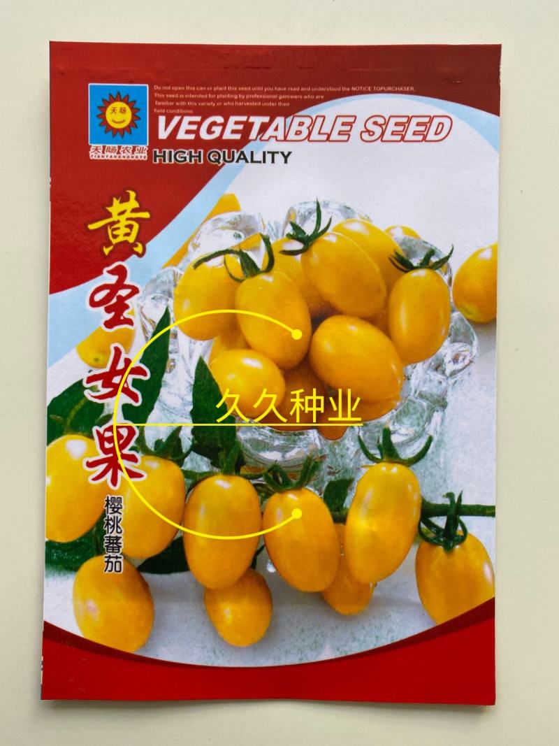 黄圣女果种子西红柿种籽高产樱桃小番茄四季阳台盆栽脆甜蔬菜