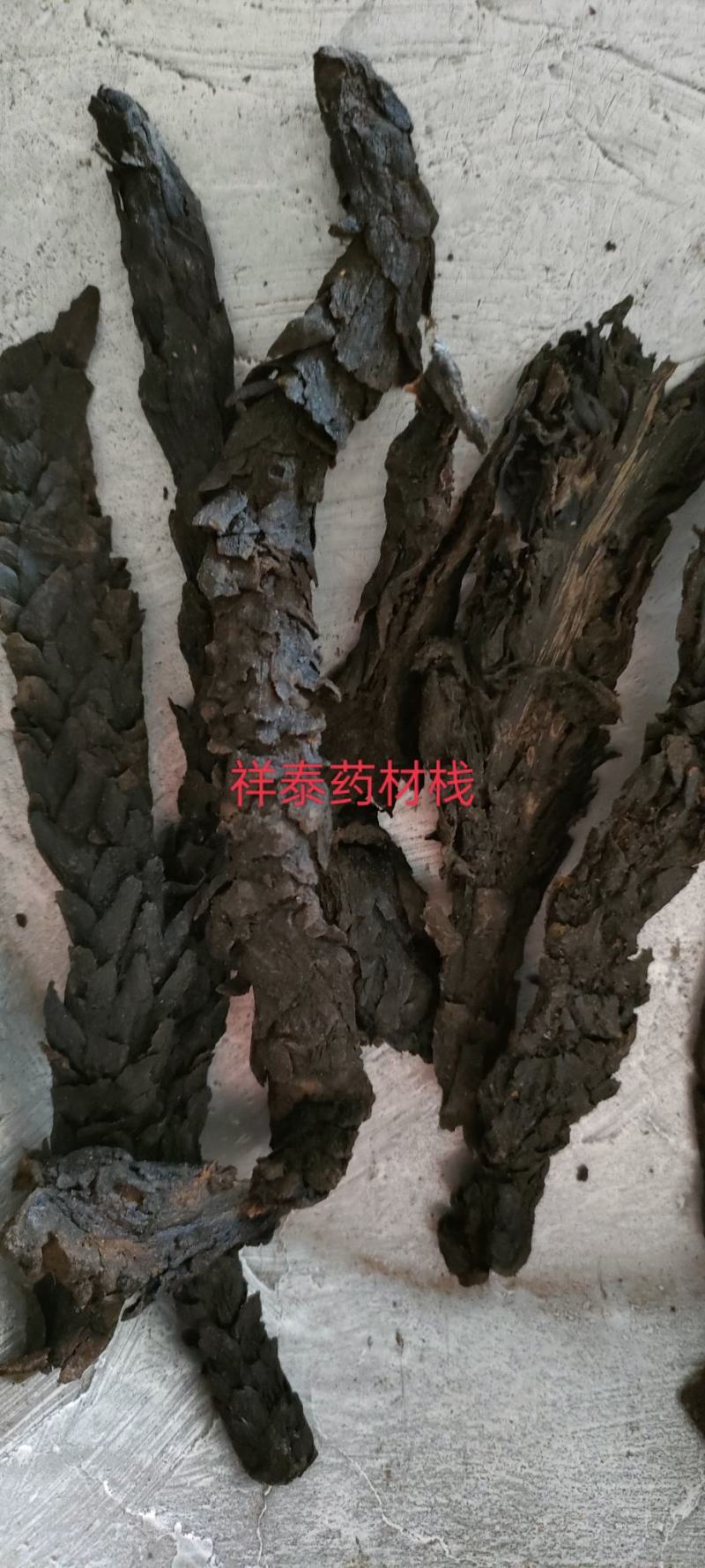 肉苁蓉软大云产地新疆个头大量多从优产地大货