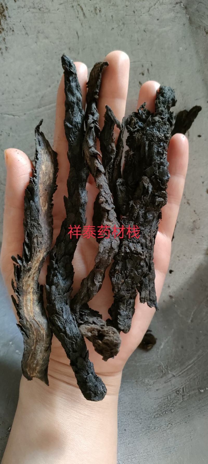 肉苁蓉软大云产地新疆个头大量多从优产地大货