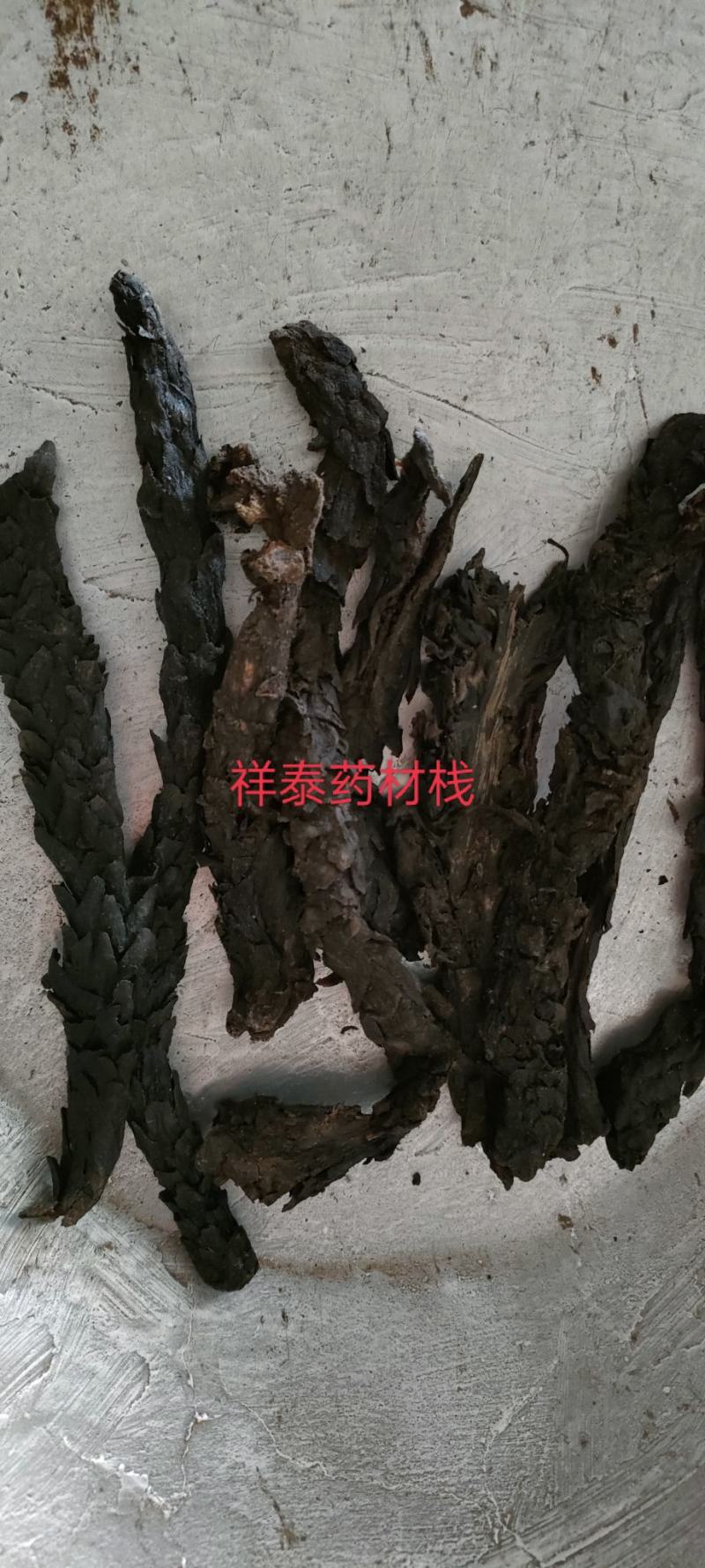 肉苁蓉软大云产地新疆个头大量多从优产地大货