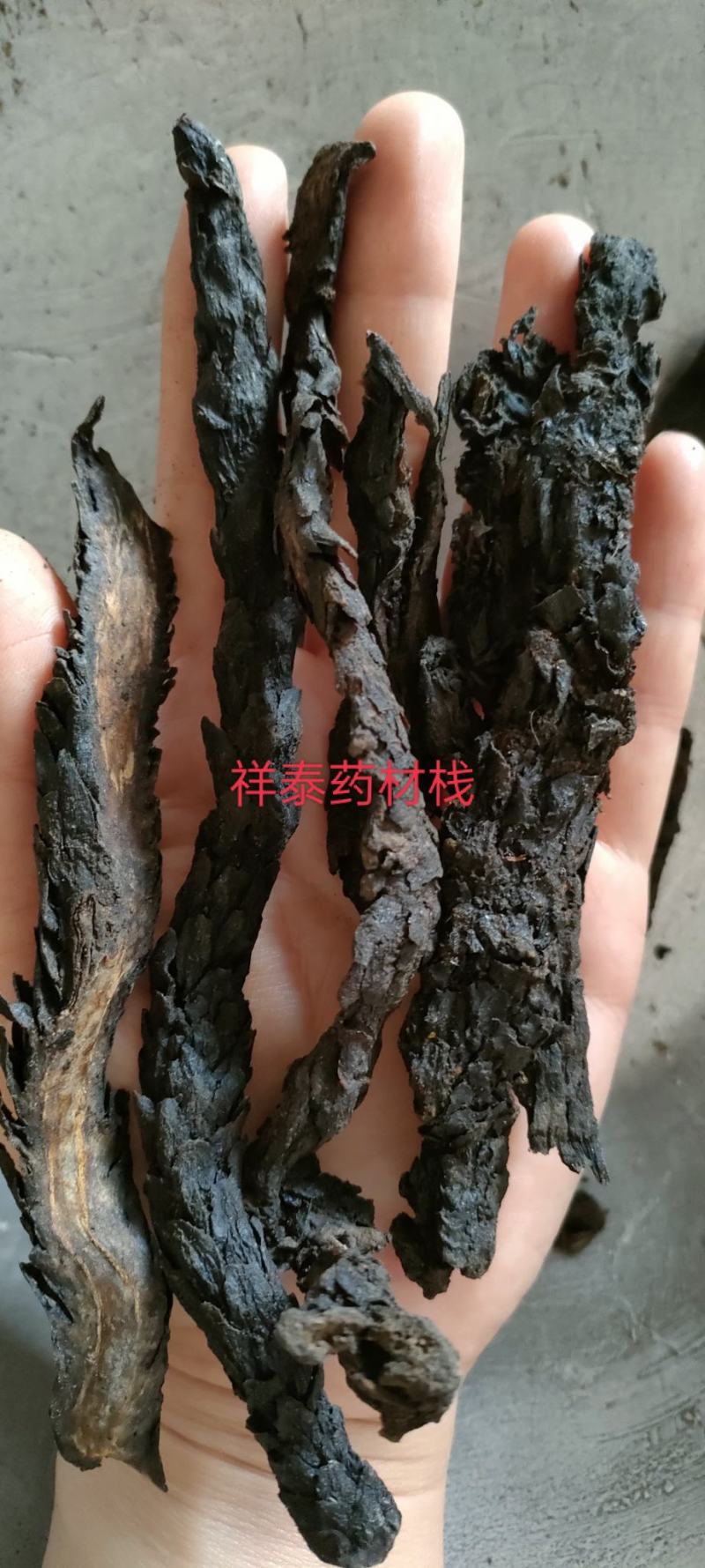 肉苁蓉软大云产地新疆个头大量多从优产地大货