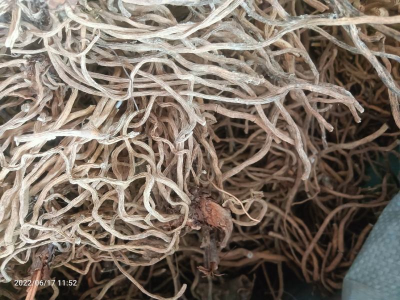 【店长推荐】贵州原产地野生伸筋草无杂质