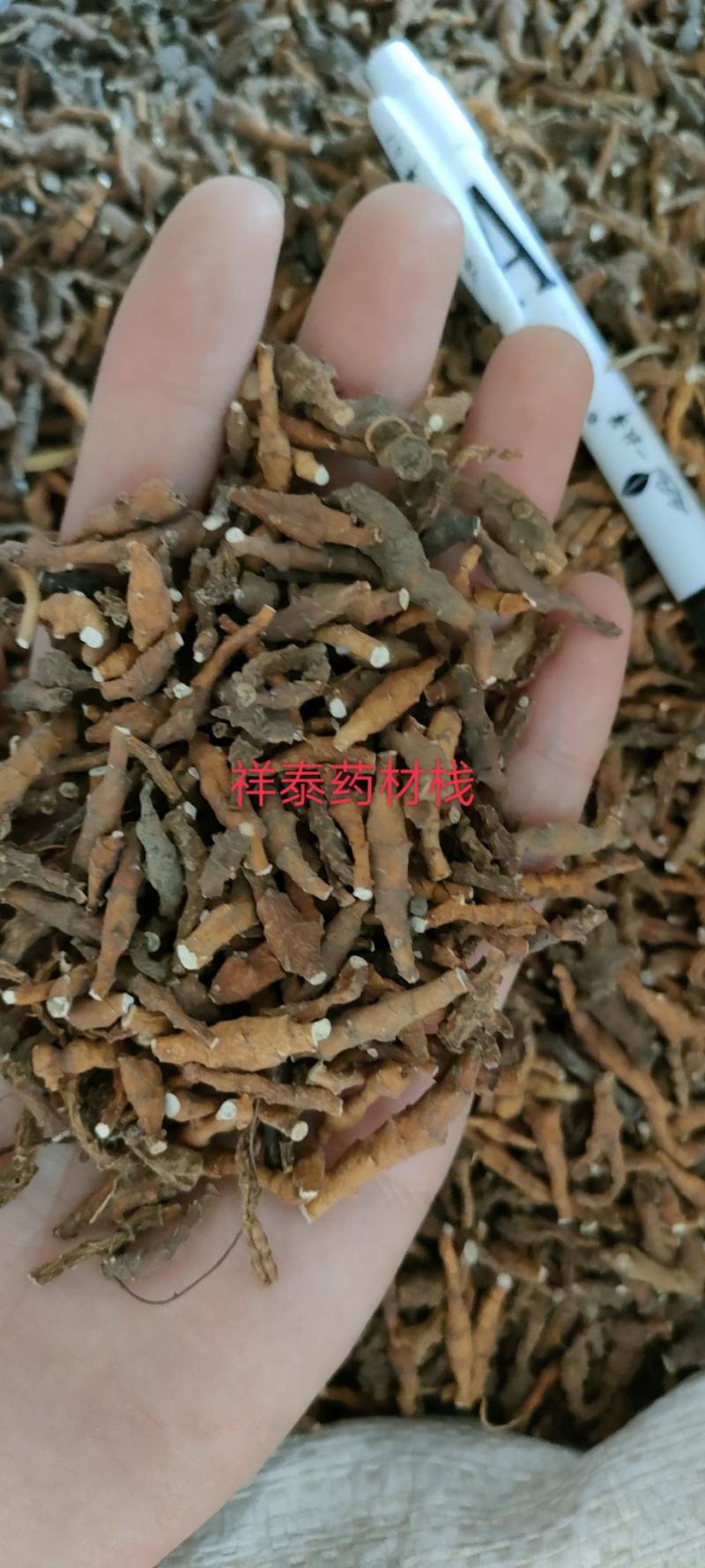 （热卖）节菖蒲九节菖蒲实物拍摄量多从优产地大货祥泰药材