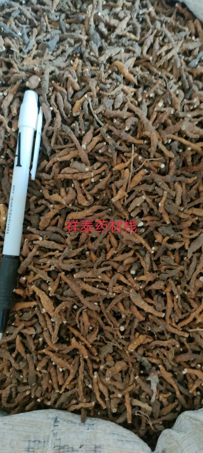 （热卖）节菖蒲九节菖蒲实物拍摄量多从优产地大货祥泰药材