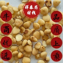 （热销）炒杏仁苦杏仁去皮量多从优实物拍摄地道药材祥泰
