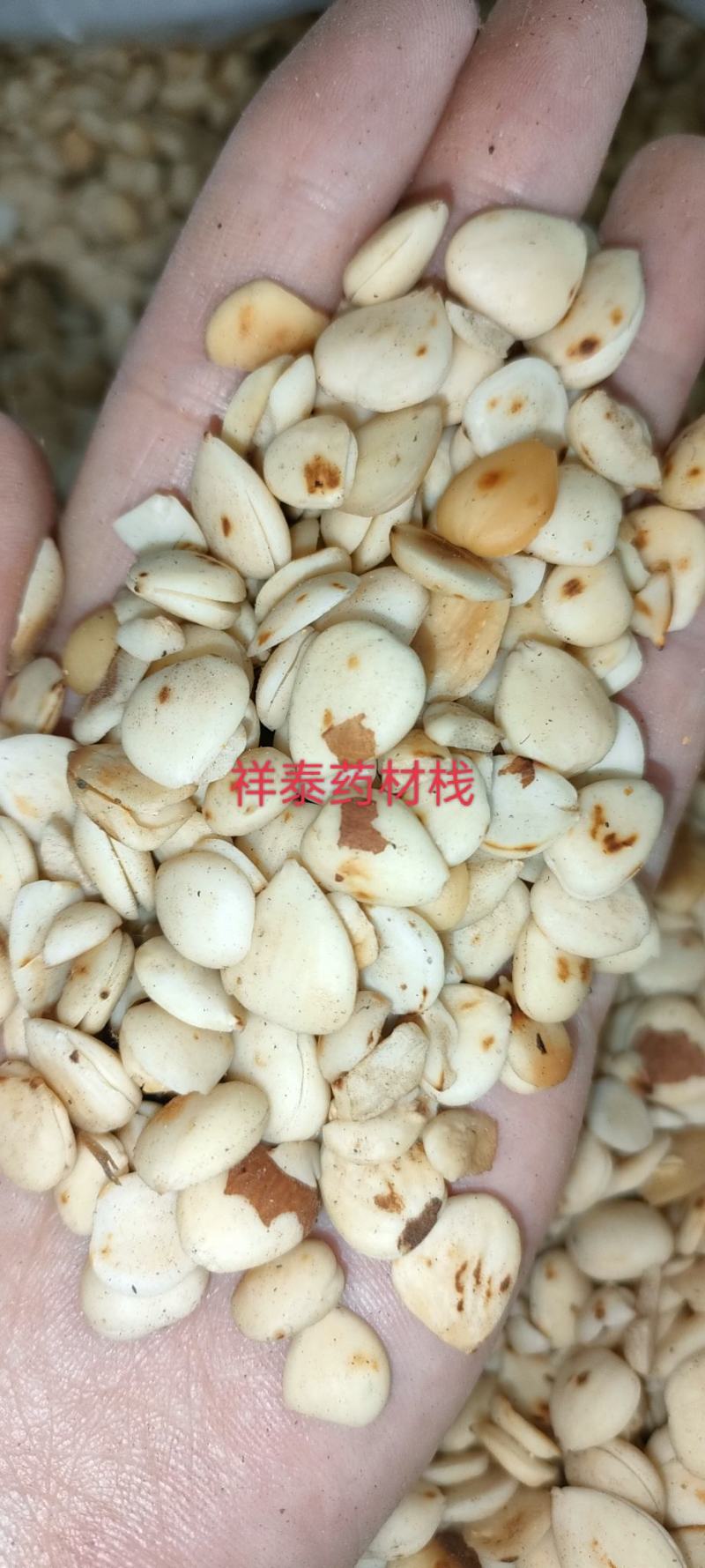 （热销）炒杏仁苦杏仁去皮量多从优实物拍摄地道药材祥泰