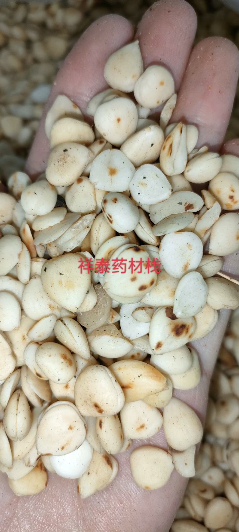 （热销）炒杏仁苦杏仁去皮量多从优实物拍摄地道药材祥泰