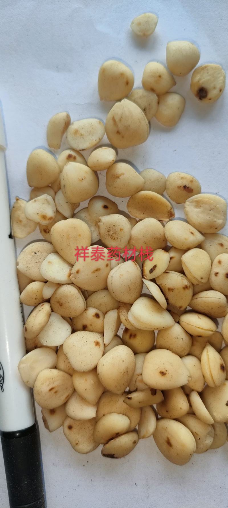 （热销）炒杏仁苦杏仁去皮量多从优实物拍摄地道药材祥泰