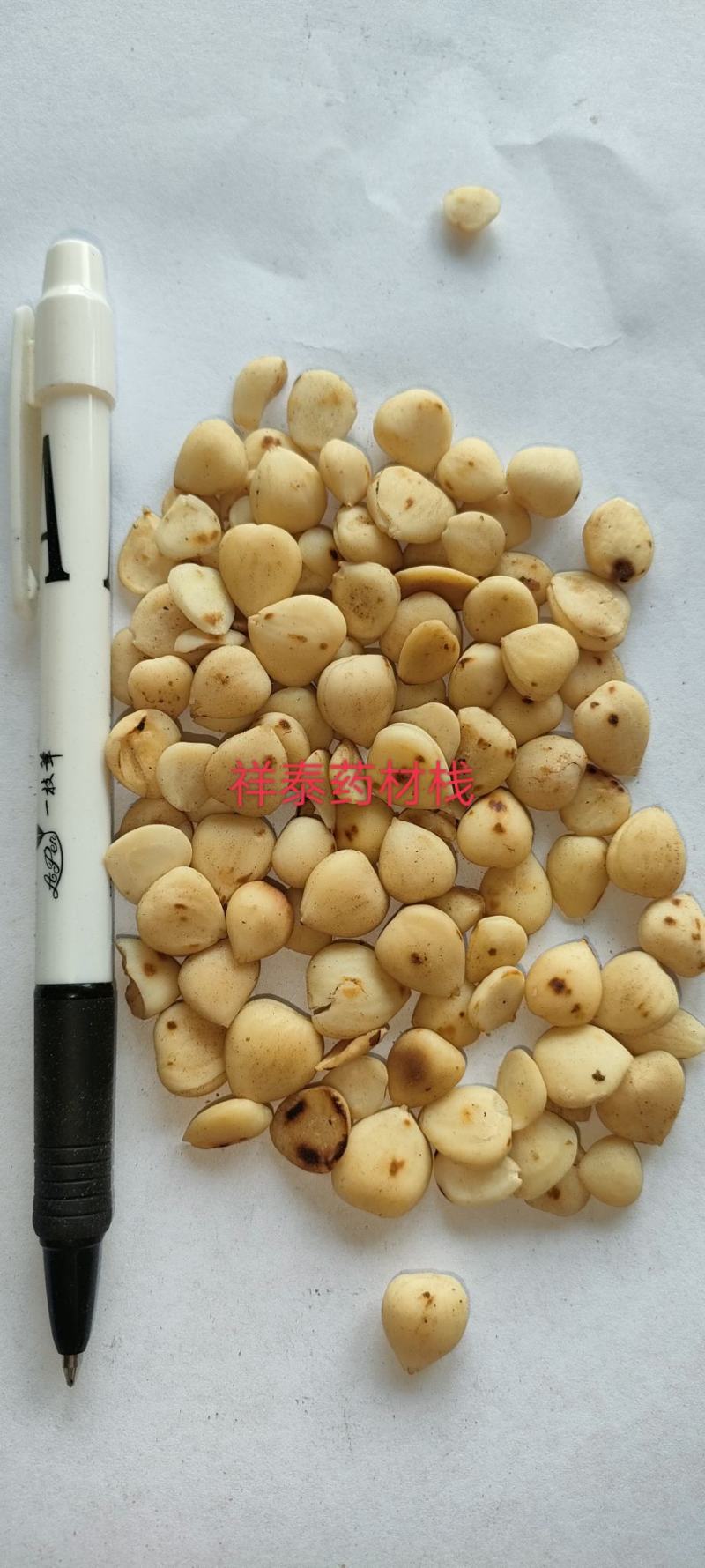 （热销）炒杏仁苦杏仁去皮量多从优实物拍摄地道药材祥泰
