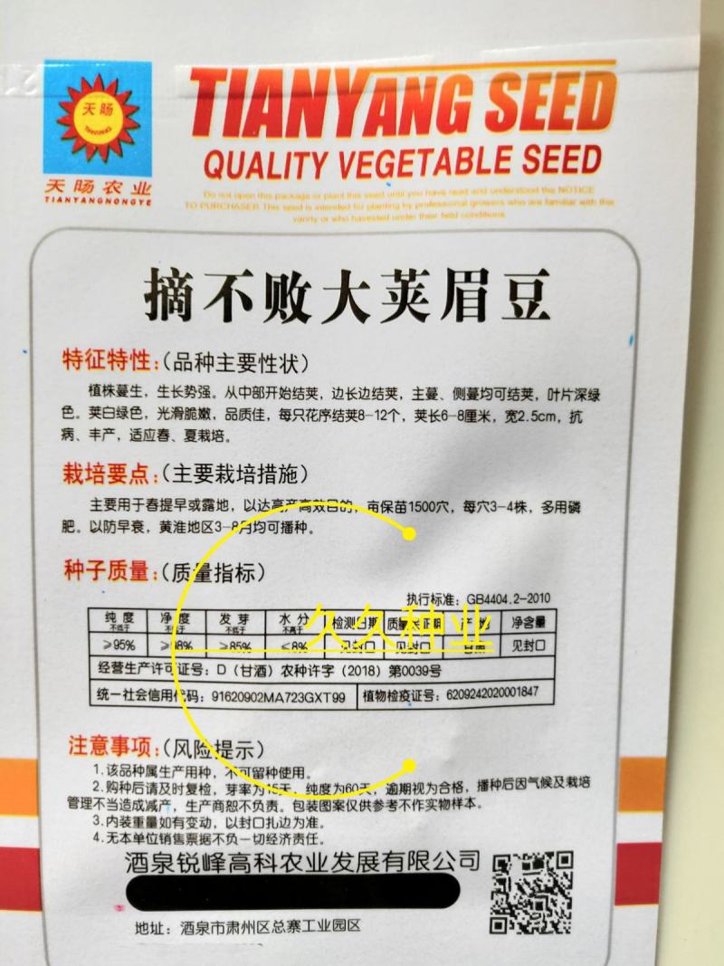 摘不败大荚眉豆种子早熟高产绿眉豆角庭院阳台春秋四季播蔬菜