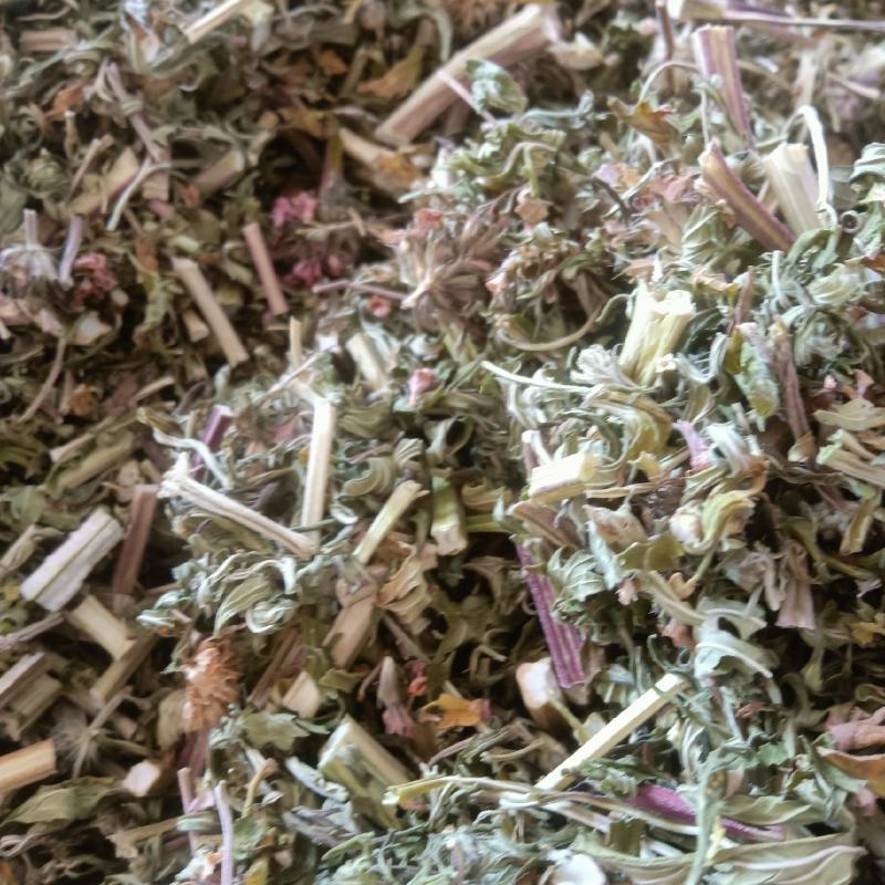 【店长推荐】贵州兴义野生益母草量大价格可聊