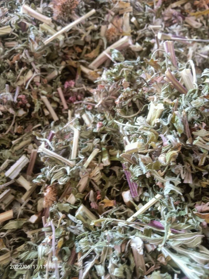 【店长推荐】贵州兴义野生益母草量大价格可聊