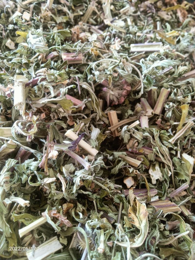 【店长推荐】贵州兴义野生益母草量大价格可聊
