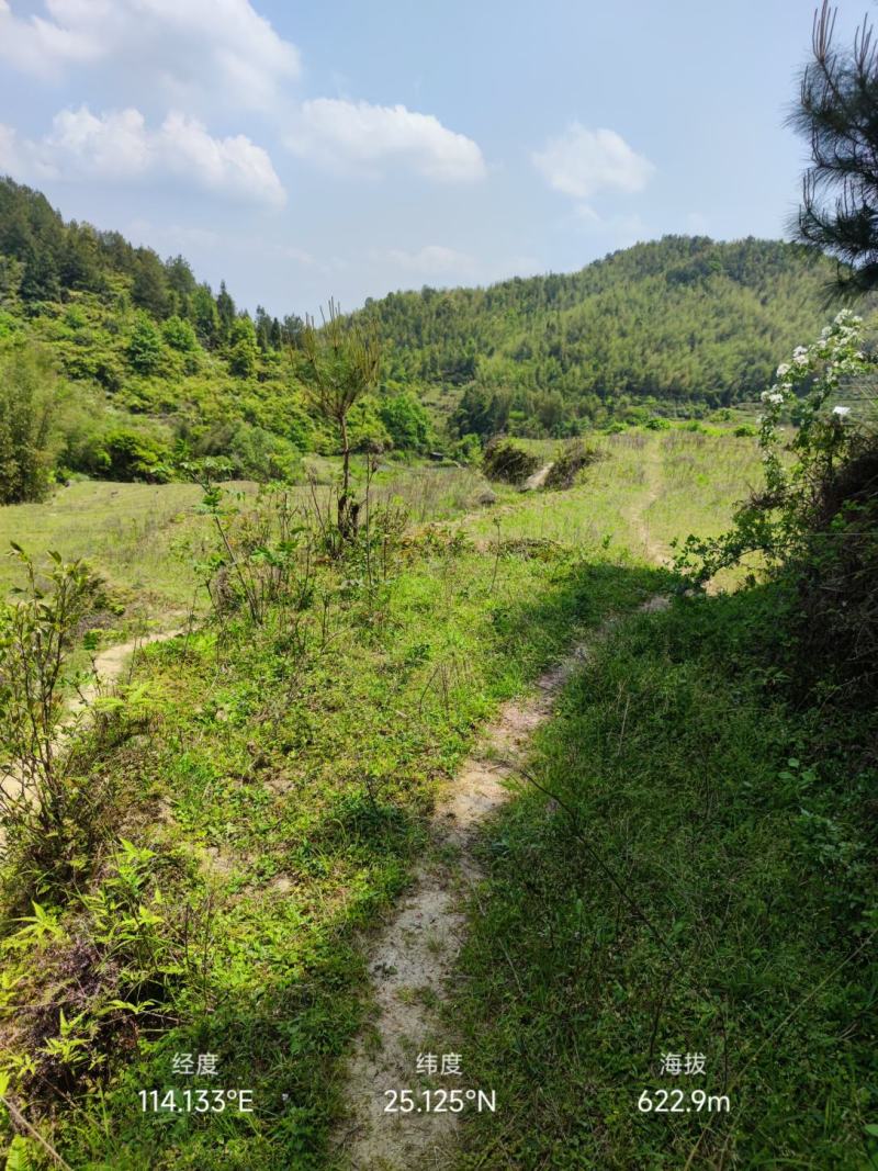 山地出售
