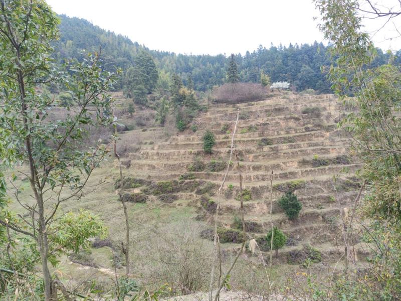 山地出售