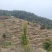 山地出售