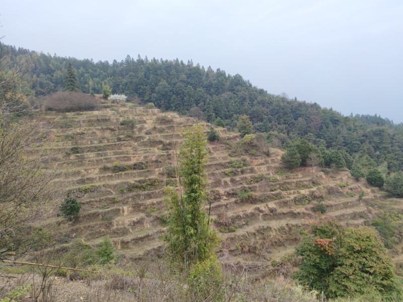 山地出售