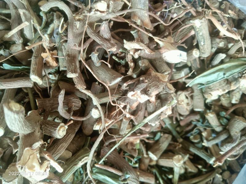【店长推荐】贵州原产地纯野生朱砂根，八草金龙
