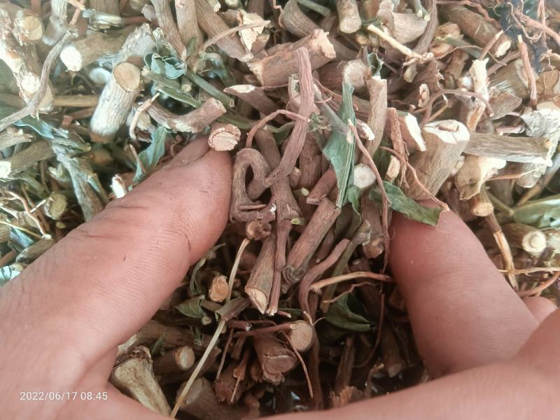 【店长推荐】贵州原产地纯野生朱砂根，八草金龙