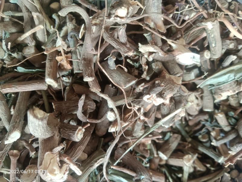 【店长推荐】贵州原产地纯野生朱砂根，八草金龙