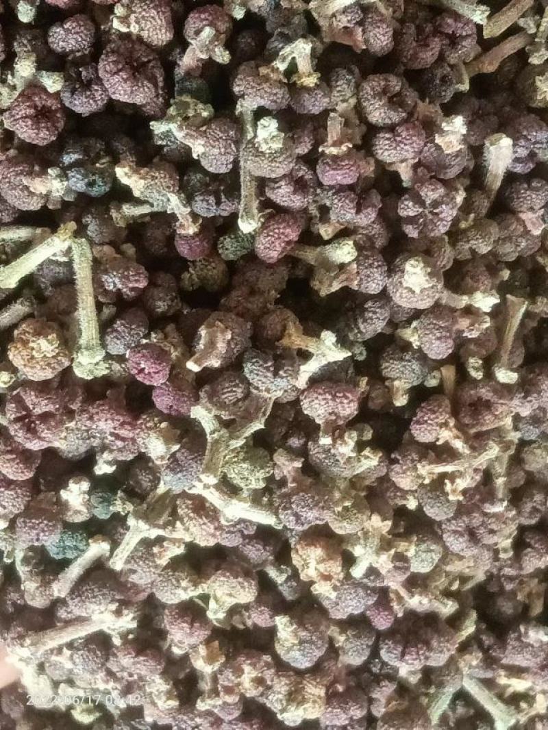 【热销商品】贵州原产地一手货源纯野生吴茱萸，