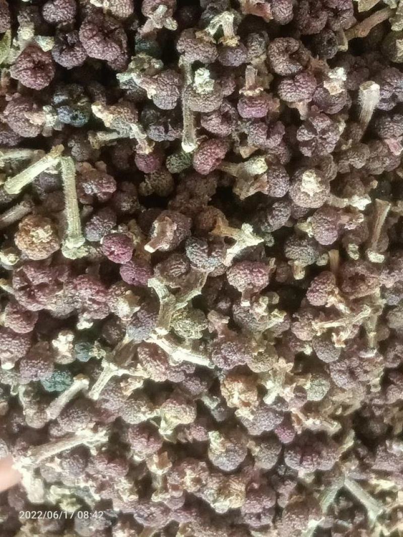 【热销商品】贵州原产地一手货源纯野生吴茱萸，