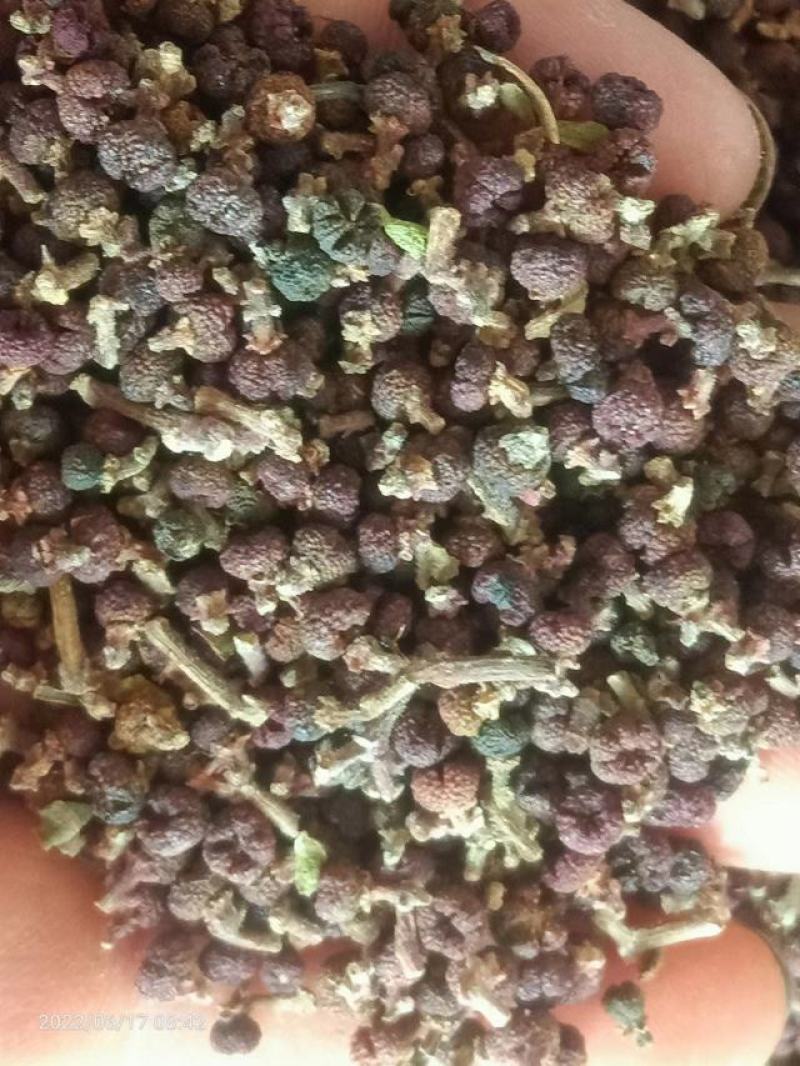 【热销商品】贵州原产地一手货源纯野生吴茱萸，
