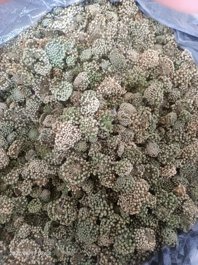 【牛商优选商家】贵州纯野生三七花支持视频看货
