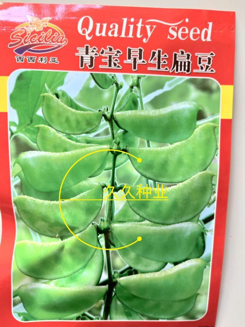 原装早熟红花肉扁豆种子青白蛾眉豆架豆角爬藤春秋四季易种蔬