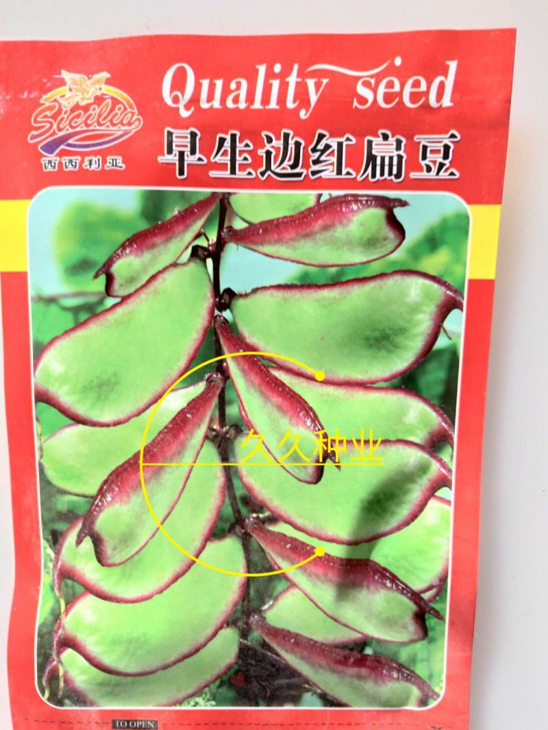摘不败红边眉豆种子红边大扁豆种子高产早熟四季播庭院盆栽蔬