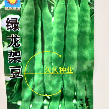 绿龙扁豆种子豆角种籽四季豆种子扁春夏秋高产架豆四季豆种
