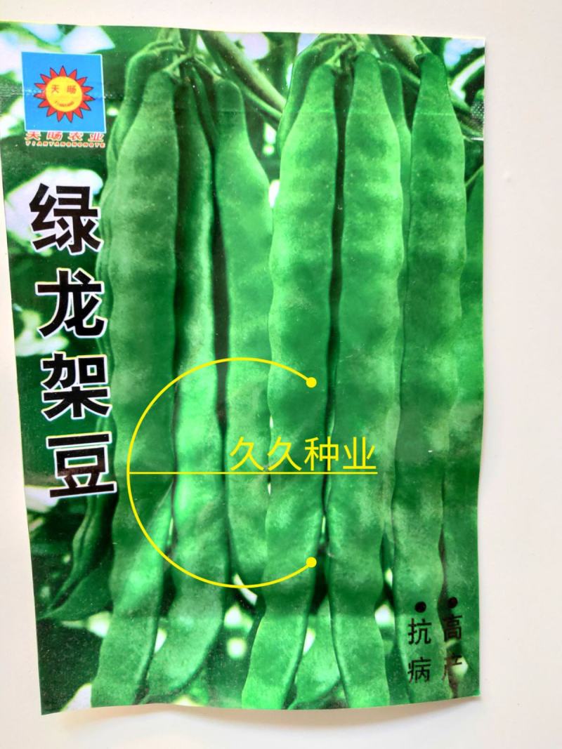 绿龙扁豆种子豆角种籽四季豆种子扁春夏秋高产架豆四季豆种