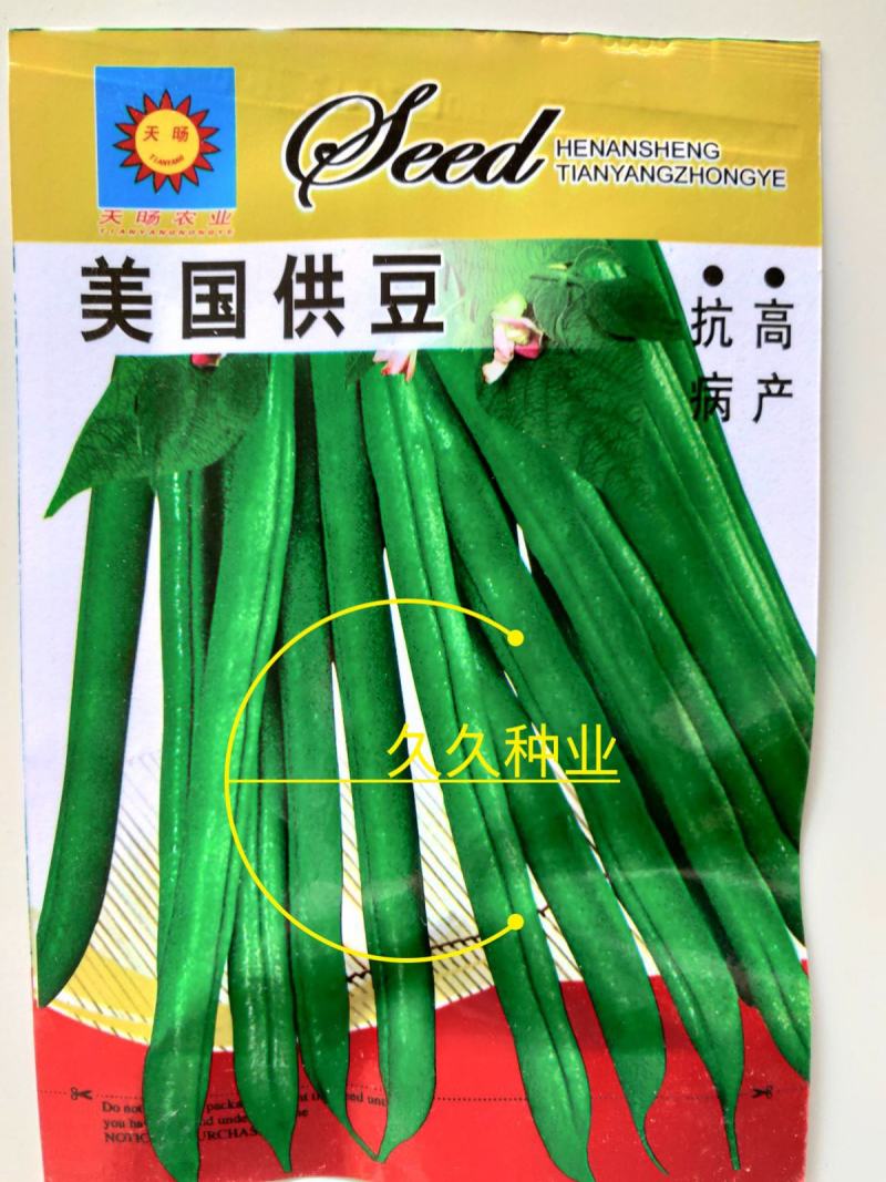 【美国供豆】豆角种子农家菜园高产抗病肉厚脆嫩四季豆蔬菜
