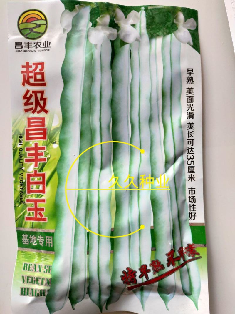 特级九粒白芸豆种子老来少豆角种籽孑早熟高产四季春秋季